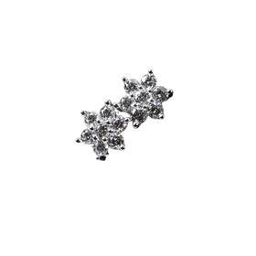 14K White Gold Small Star Cluster Stud Earrings